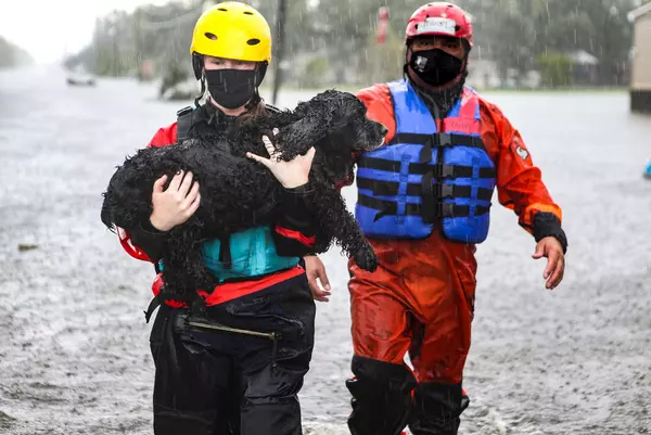IFAW stands with Texas in aftermath of Guadelupe River flooding 