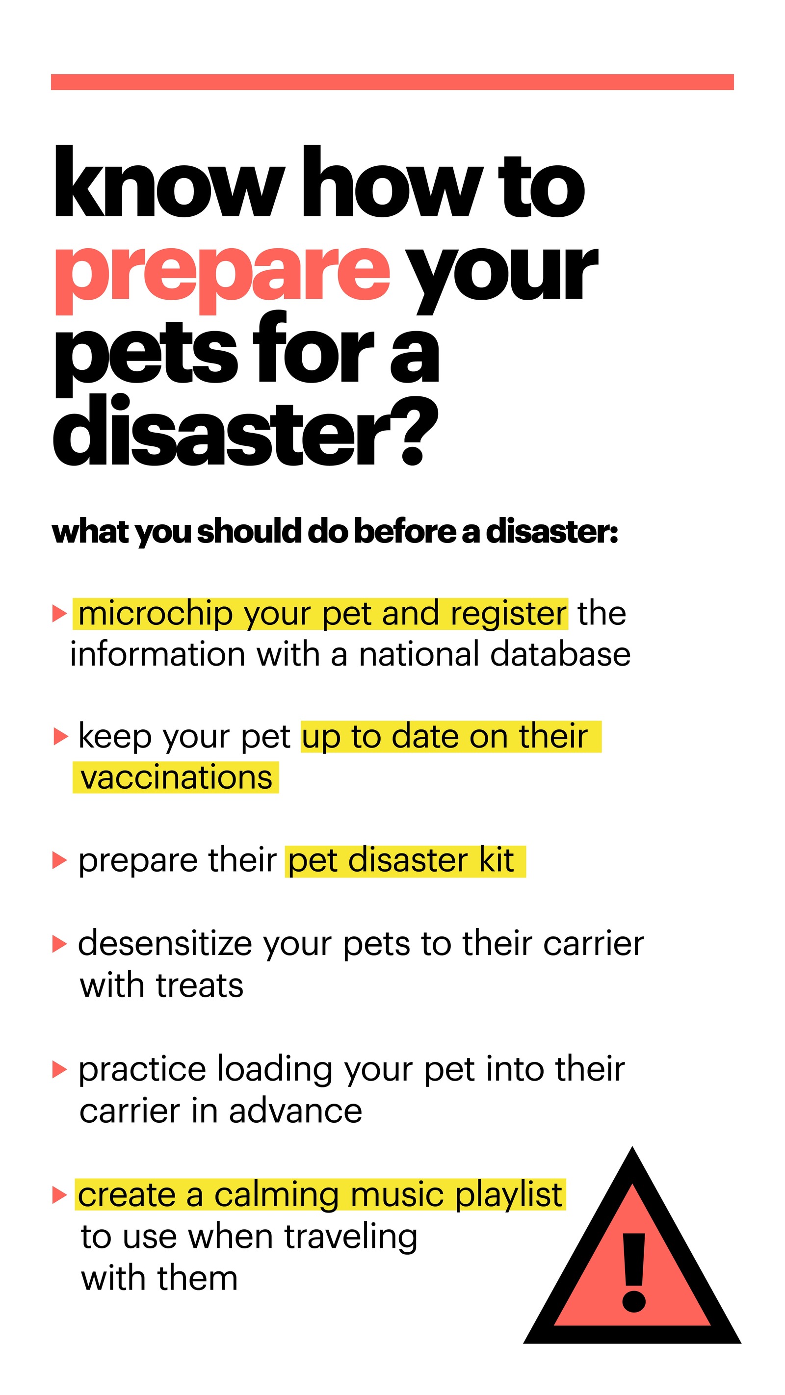 how to prepare your pets for a disaster