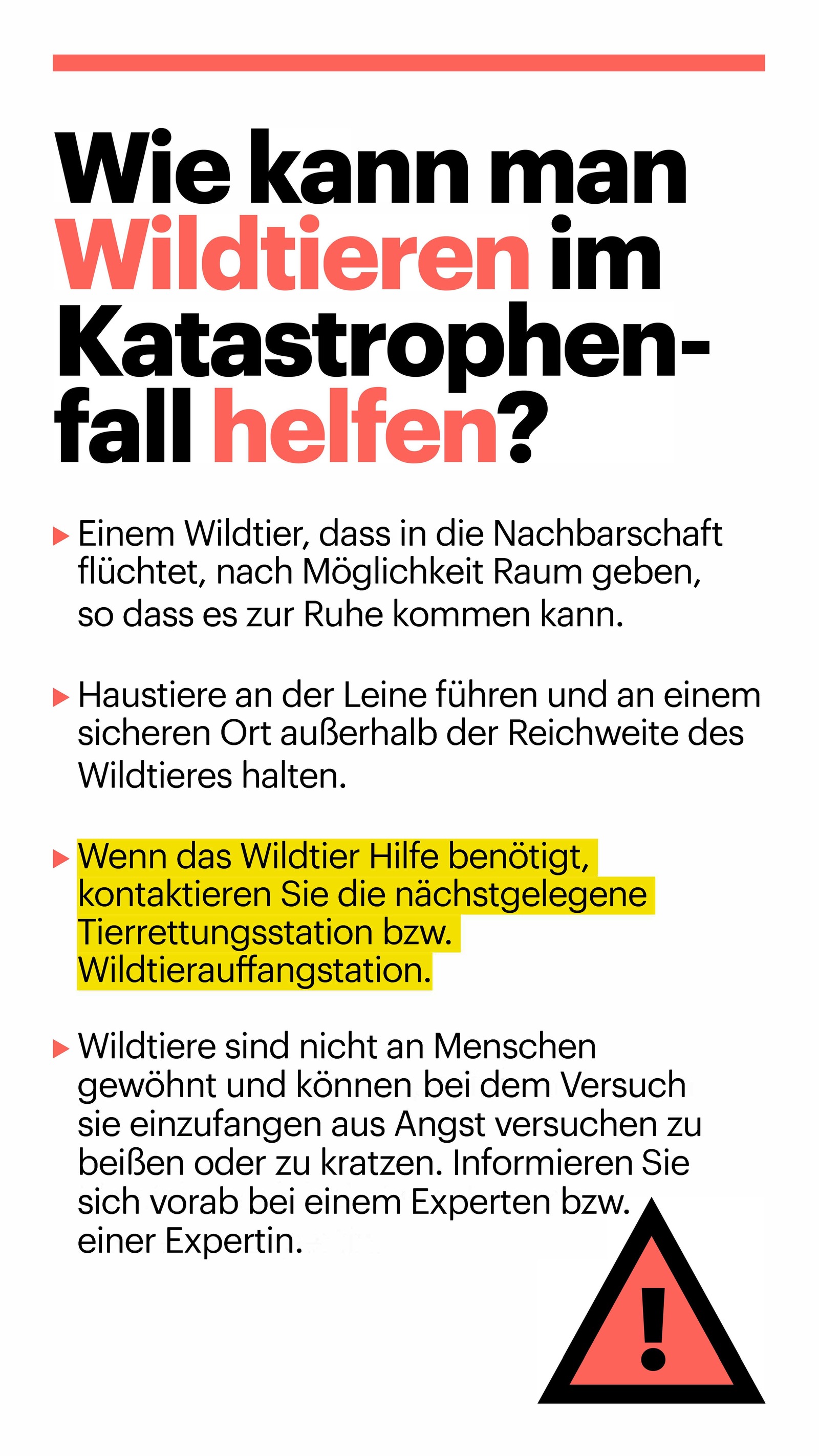 Wie kann man Wildtieren im Katastrophenfall helfen?