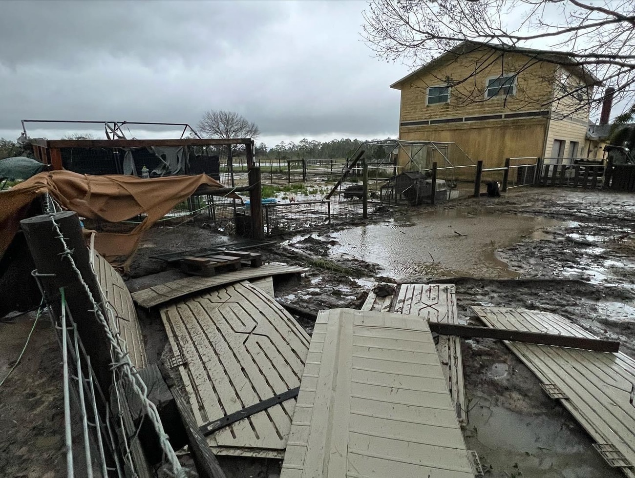 Damage from Hurricane Ian at Little Bear Sanctuary in Punta Gorda, Florida.