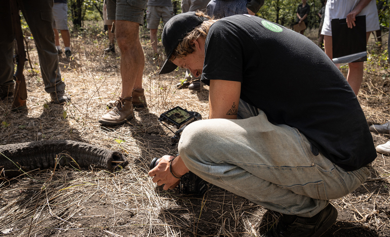 Filmmaker filming an elephant