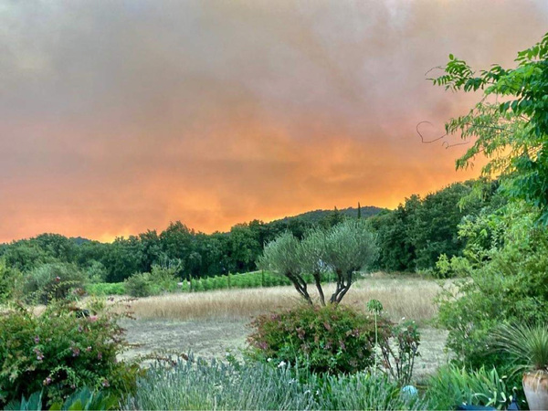 Incendie en France : comment mettre à l’abri ses animaux de compagnie et aider la faune sauvage ?