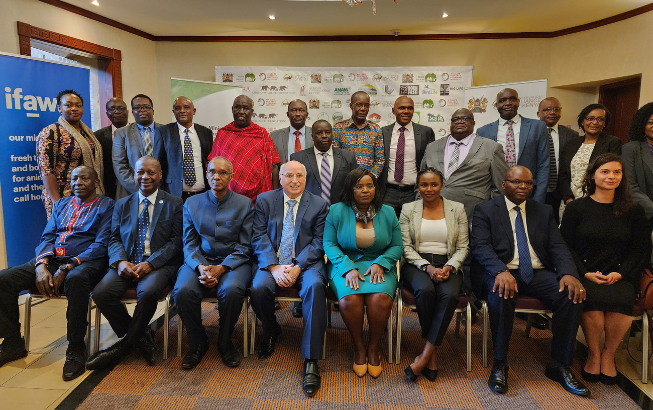 Representatives from local communities, non-governmental organizations, public, commercial sector and government