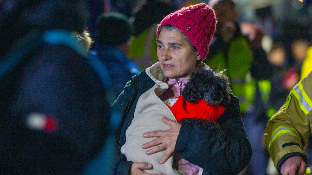 A refugee and her pet are suffering from the cold and rain