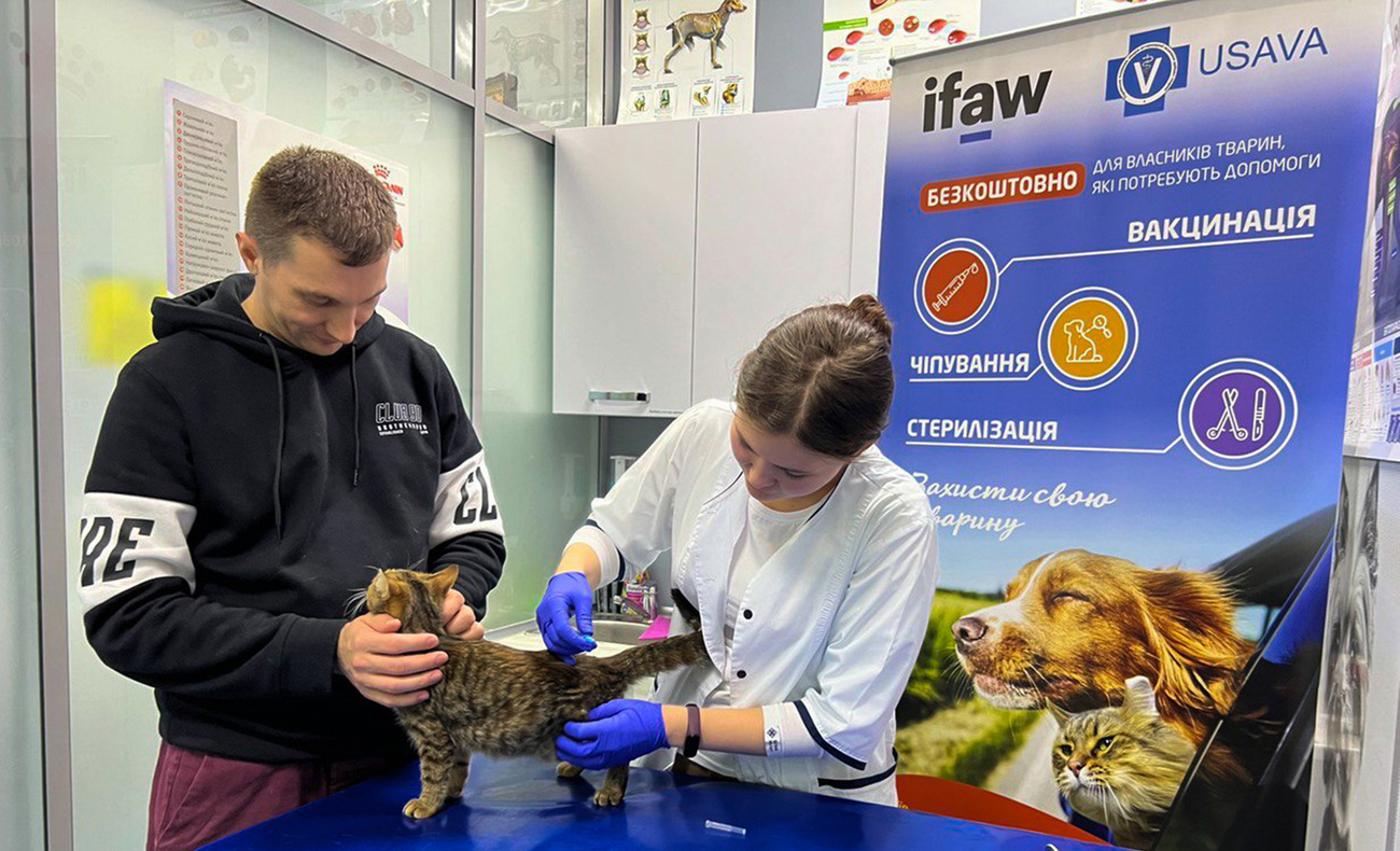 Een kitten wordt behandeld door een dierenarts in een kliniek, terwijl zijn baasje hem aait.