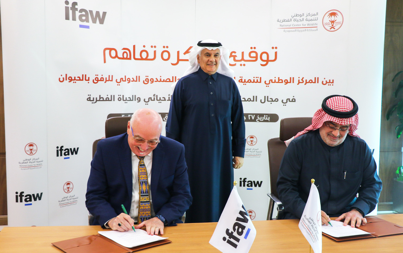 IFAW President & CEO Azzedine Downes with the CEO of the National Center for Wildlife Development, Dr. Mohammed Qurban