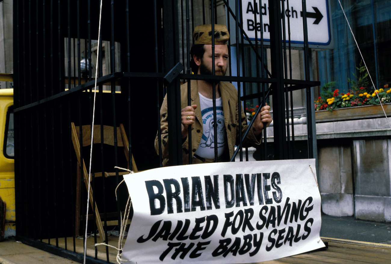 Protest in het Verenigd Koninkrijk na de arrestatie van IFAW-oprichter Brian Davies in 1981.