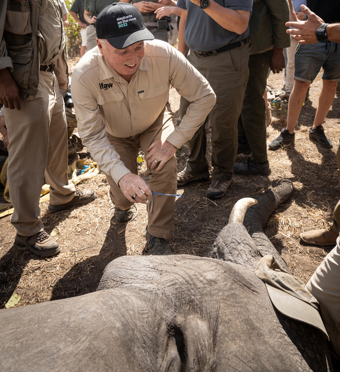 Azzedine Downes, IFAW President & CEO, at the translocation of 263 elephants