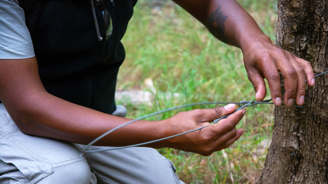 Inspection of a snare during patrol in the reserve.