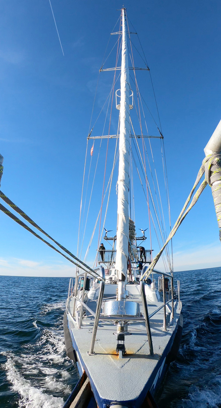 IFAW’s Song of the Whale research vessel