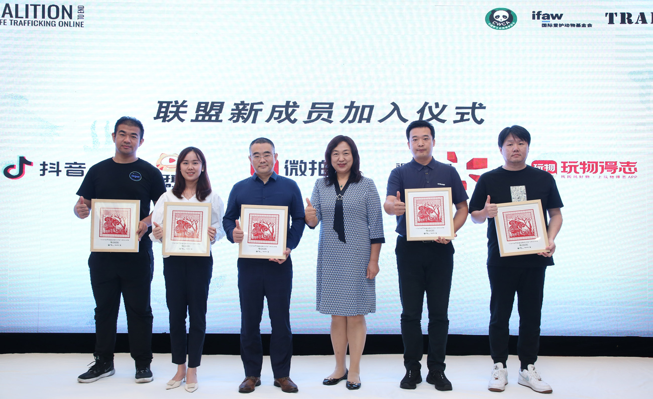 Douyin, Huya and four more technology companies became new members of the Coalition to End Wildlife Trafficking Online.