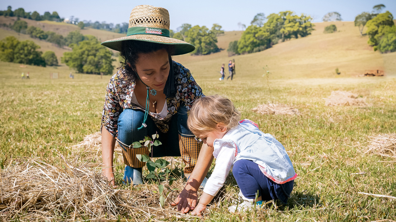 Une femme et un jeune enfant installent de la paille autour d’un arbre récemment planté.