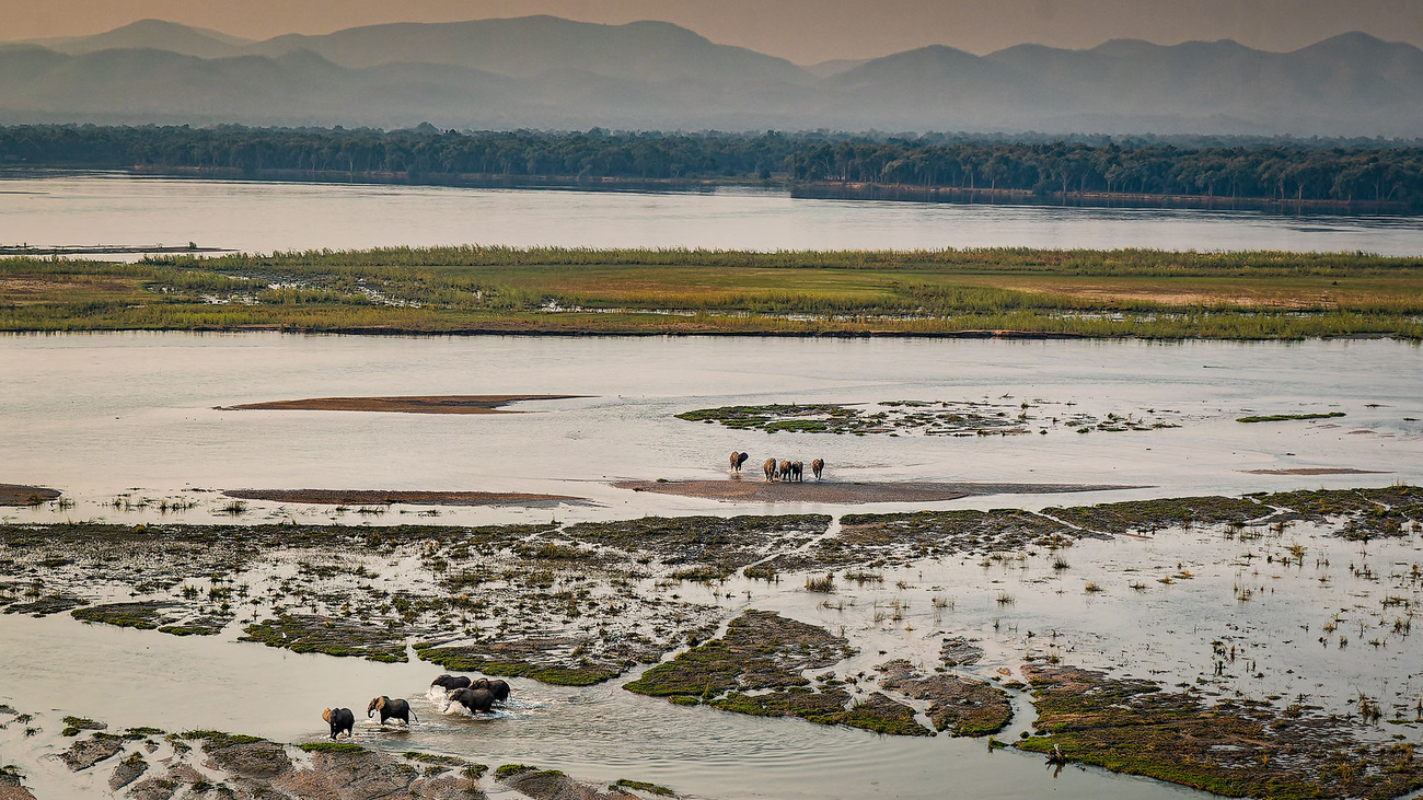 Elephants at Mana Pools National Park, Zimbabwe.