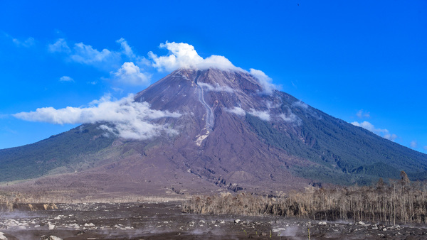 Mount Semeru eruption: evacuate animals and people will follow