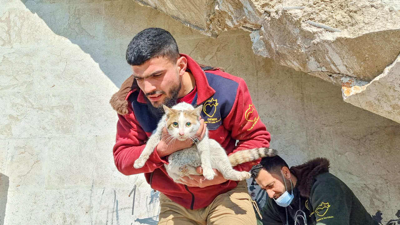 The House of Cats Ernesto team rescuing a cat from the rubble