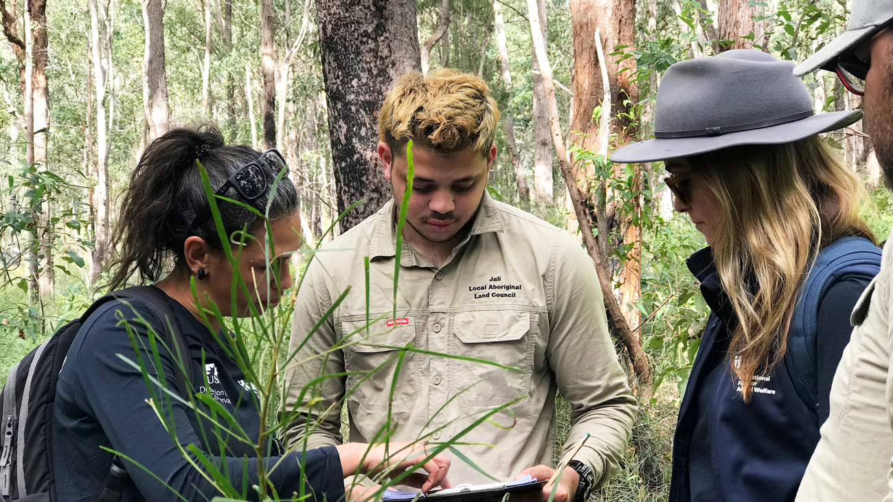 UniSC DDC researcher Riana Gardiner, Jali Ranger Malaki Ferguson and IFAW Landscape Conservation Officer Wendy Simpson.