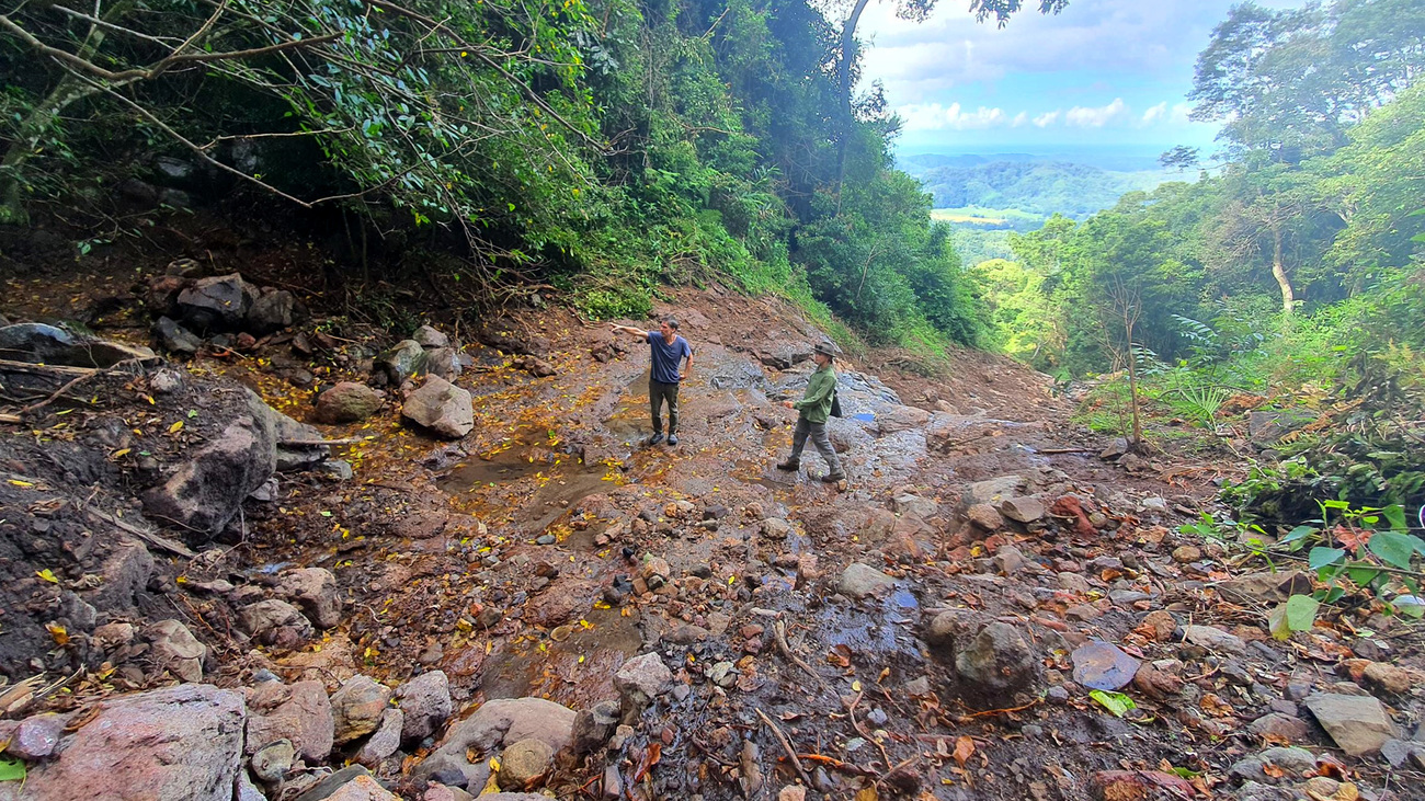 The aftermath of a landslip in Mullumbimby in the NSW Southern Border Ranges.