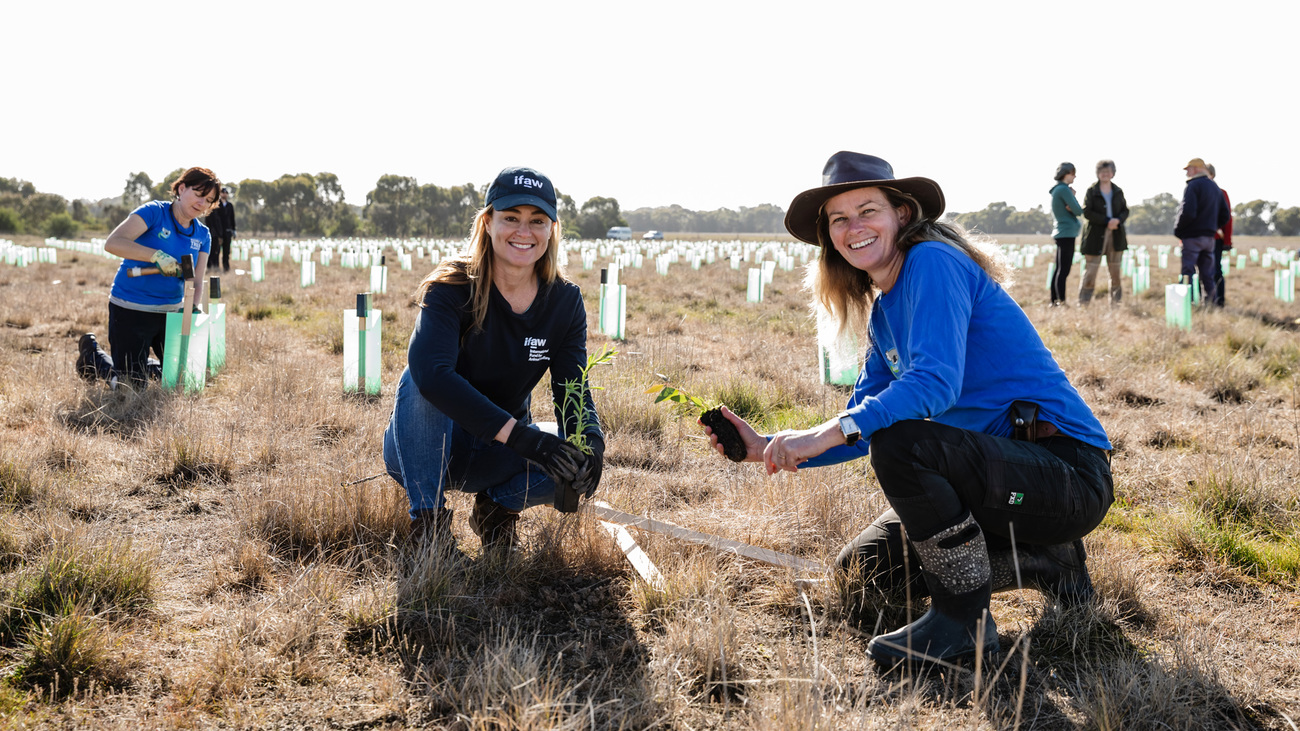 IFAW Landscape Conservation Officer Wendy Simpson with Koala Clancy Foundation President Janine Duffy at a tree planting event in Raymond Island, Victoria.