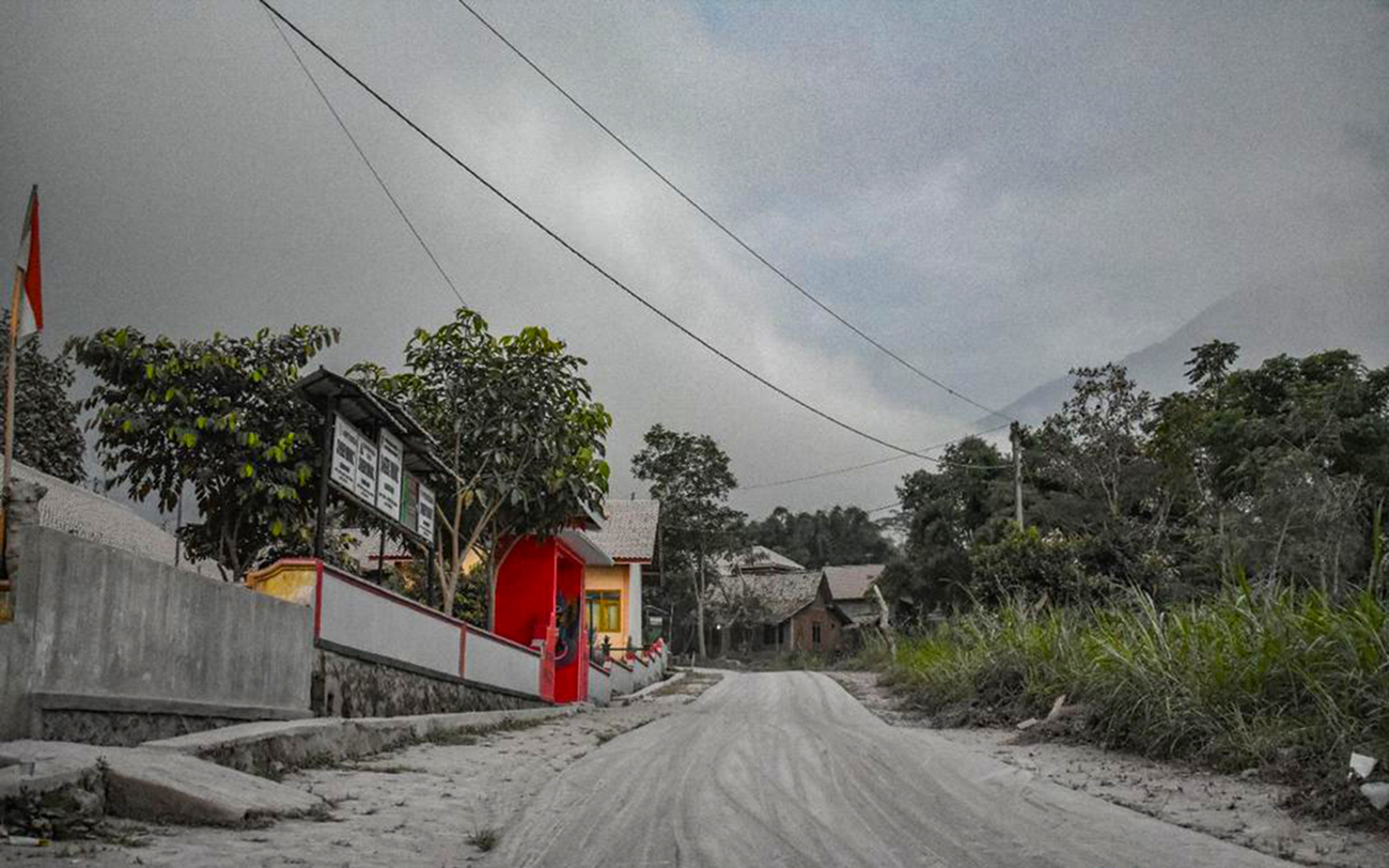 IFAW is issuing an emergency grant to cover fresh grass for feeding animals and veterinary care in the wake of Mount Merapi erupting on 11 March 2023.