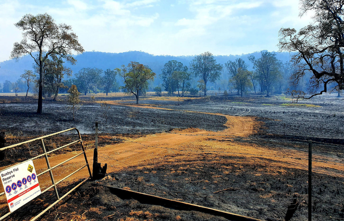 Charred landscape after the Black Summer bushfires in Busbys Flat in northern New South Wales.