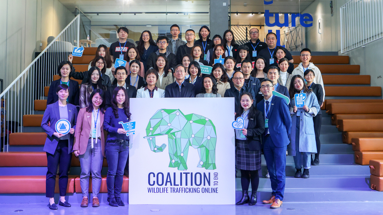 A group photo of the Coalition Chinese partners and members.