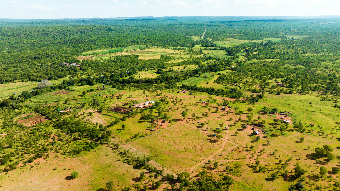 Aerial view of Hwange National Park, Zimbabwe.