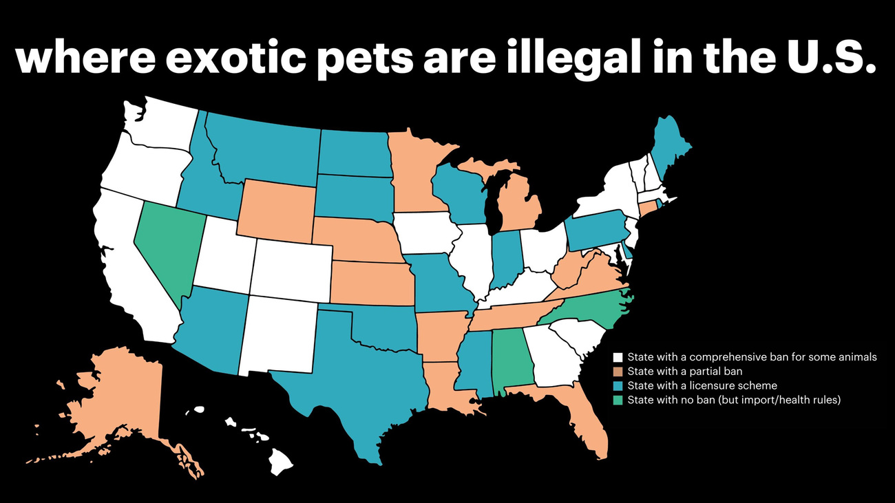 Where exotic pets are illegal in the US.