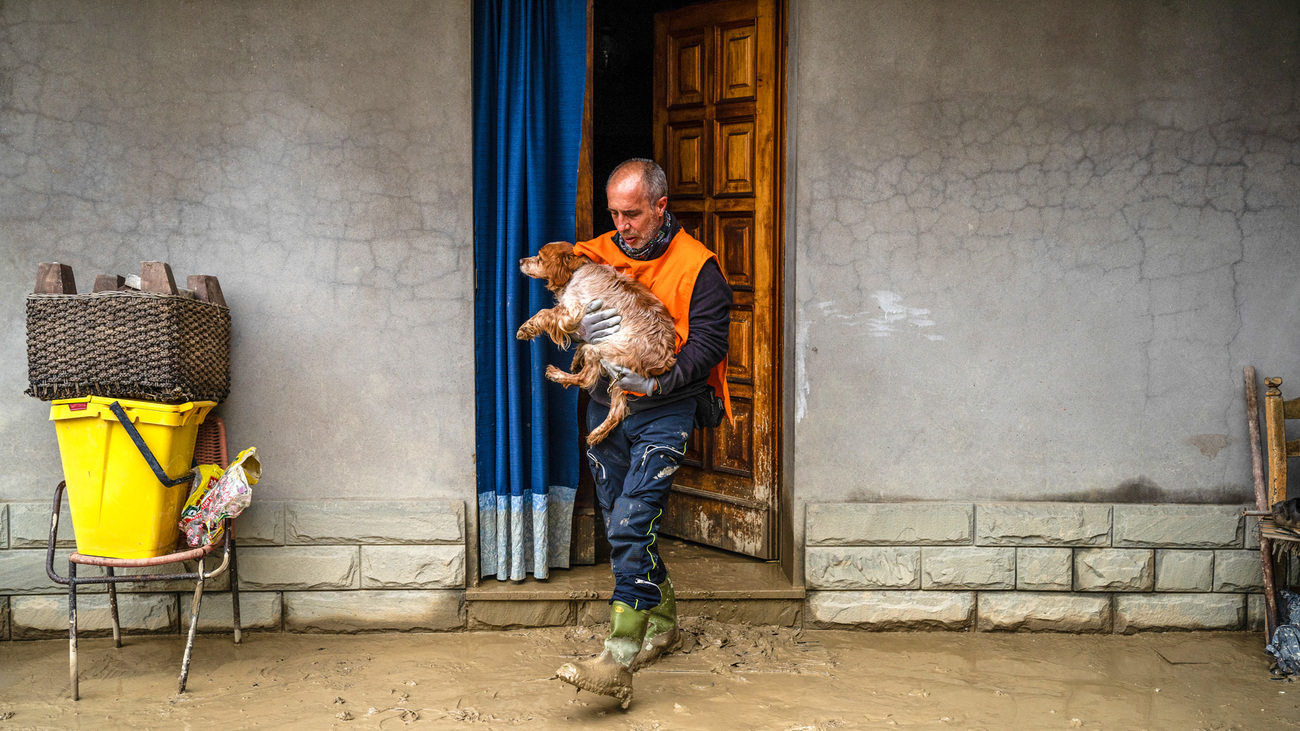 Een LAV-vrijwilliger redt een hond uit een ondergelopen huis in Solarolo, Emilia-Romagna, Italië.