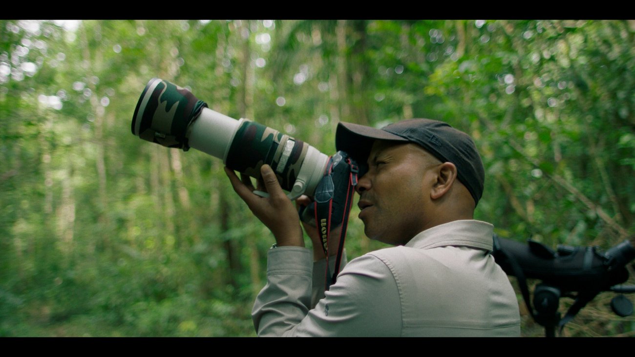 Humberto Tan fotografeert de grote verscheidenheid aan biodiversiteit in de Surinaamse jungle.