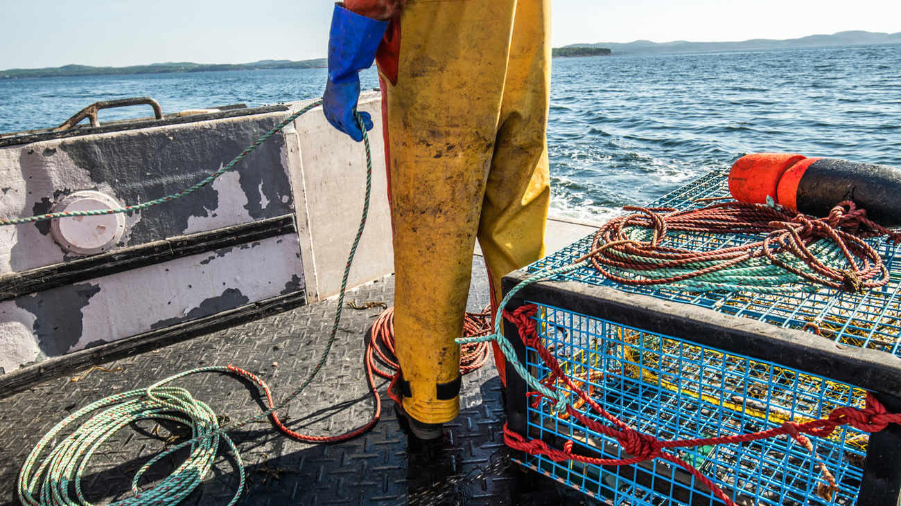 A lobster fisherman prepares to set a trap.