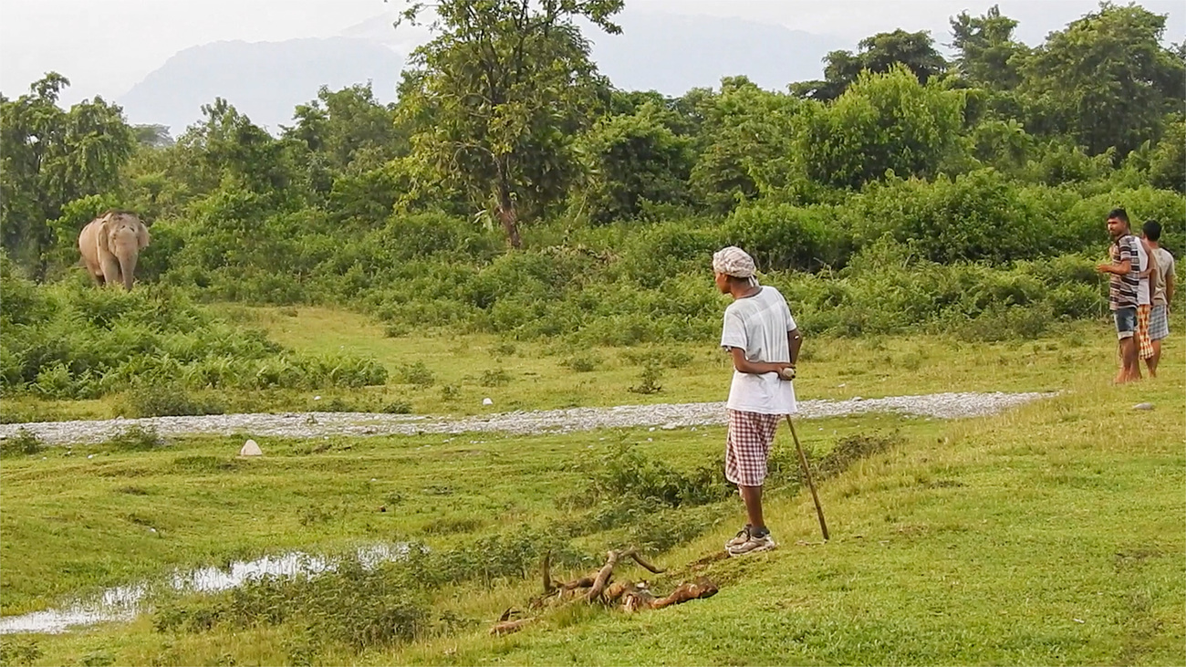 Human-elephant interaction in Barpathar village near Manas National Park in Assam, India.