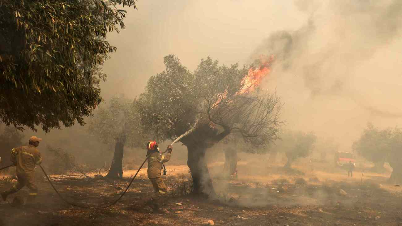 Greece wildfires 2023