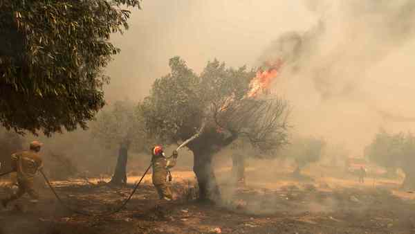 IFAW biedt noodhulp in reactie op bosbranden in Griekenland 