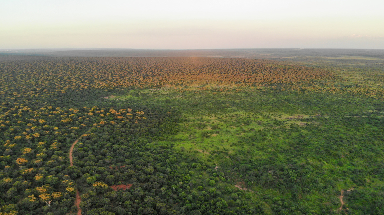 Luchtfoto van Panda Masuie Forest Reserve.