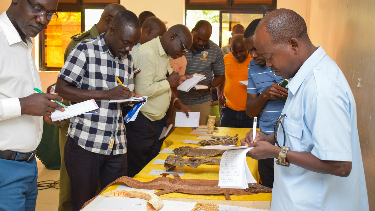 Frontline law enforcement officers working at the border between Uganda-DRC and Uganda-South Sudan participate in a rapid DISRUPT workshop.