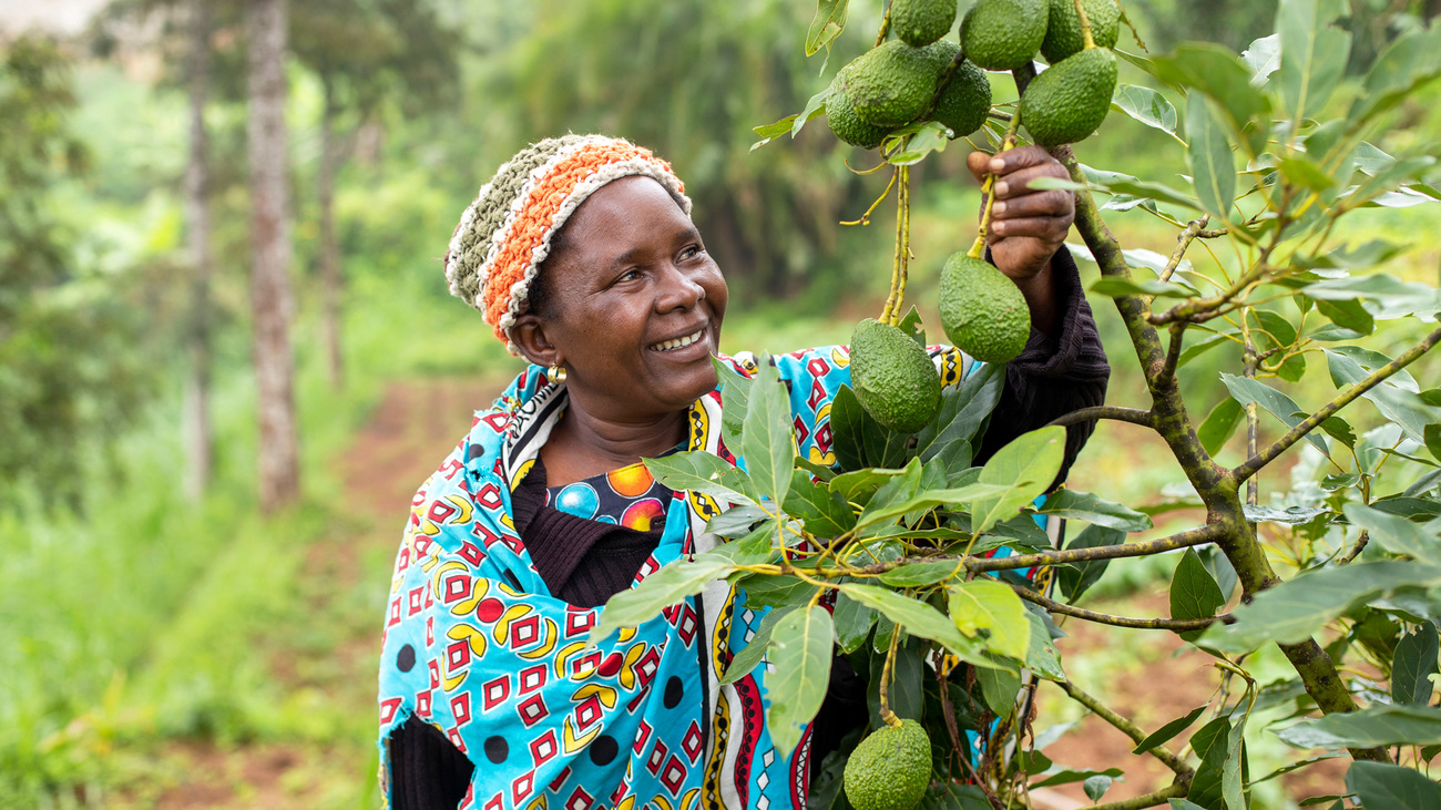 Constance Mwandoe, Member Chawia CBO, excited with her avocado farm.