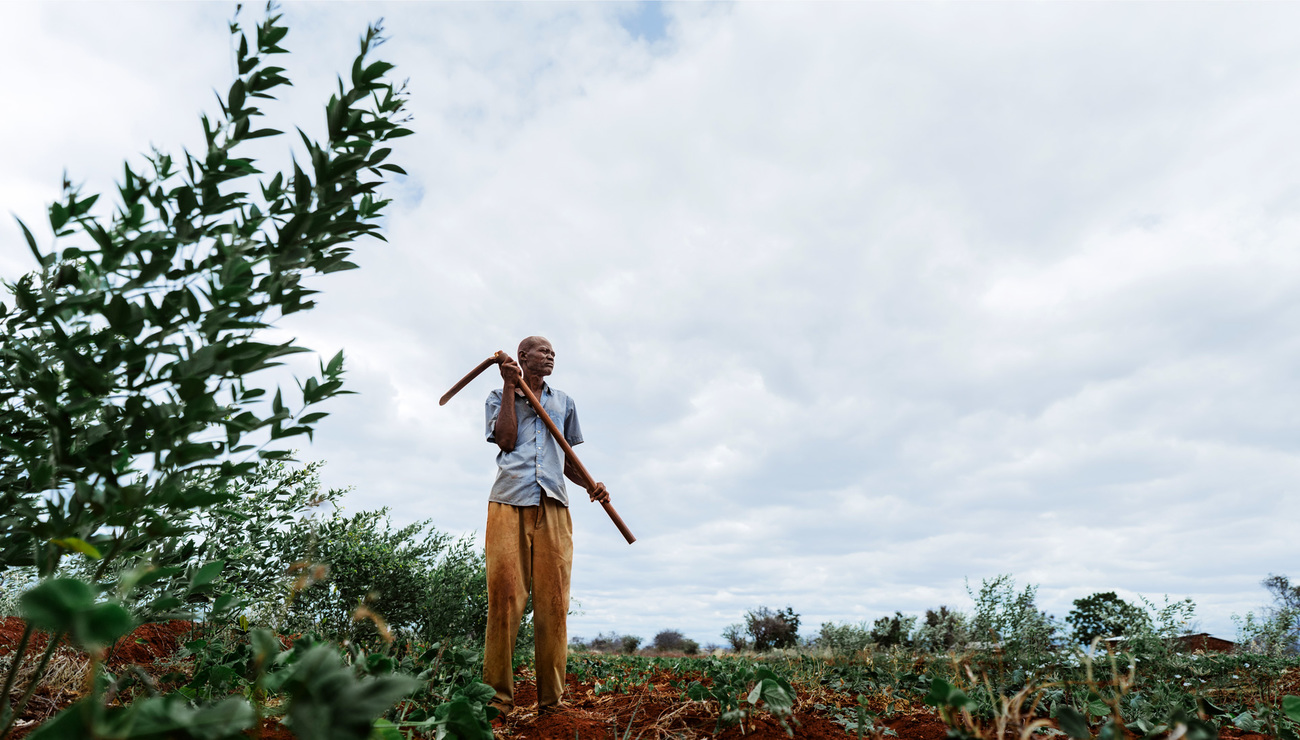 Christopher, un paysan participant à un projet agricole de résilience au changement climatique, entre les parcs naturels de Tsavo-East et Tsavo-West. 