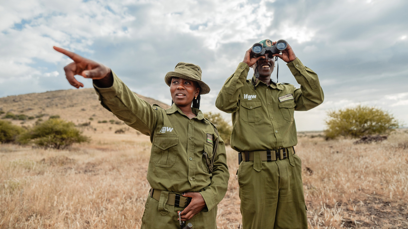 Wilson Kosianka et Eunice Peneti de l’Équipe des Lionnes, des écogardes de la communauté d’Olgulului, scrutent la savane lors d’une patrouille dans le parc d’Amboseli, au Kenya.