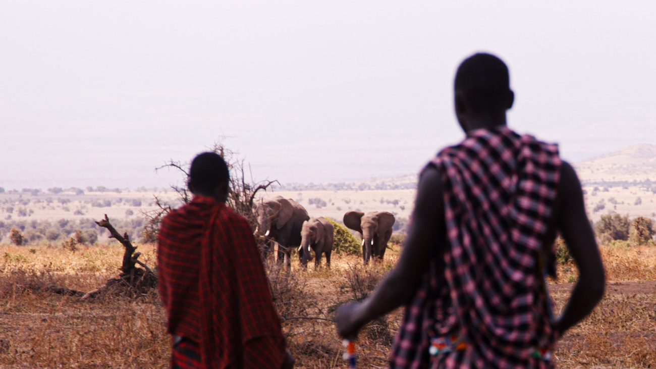 Maasai community members encounter elephants in Amboseli, Kenya.