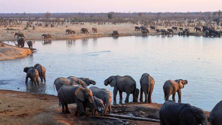 New building at Hwange National Park for tourism and conservation