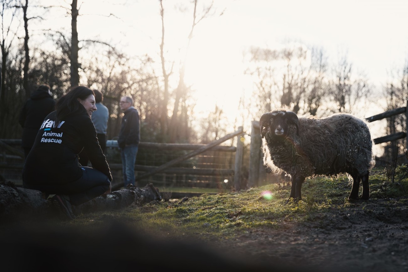 IFAW's Céline Sissler-Bienvenu tijdens een rampenresponstraining in Nederland in januari 2023.
