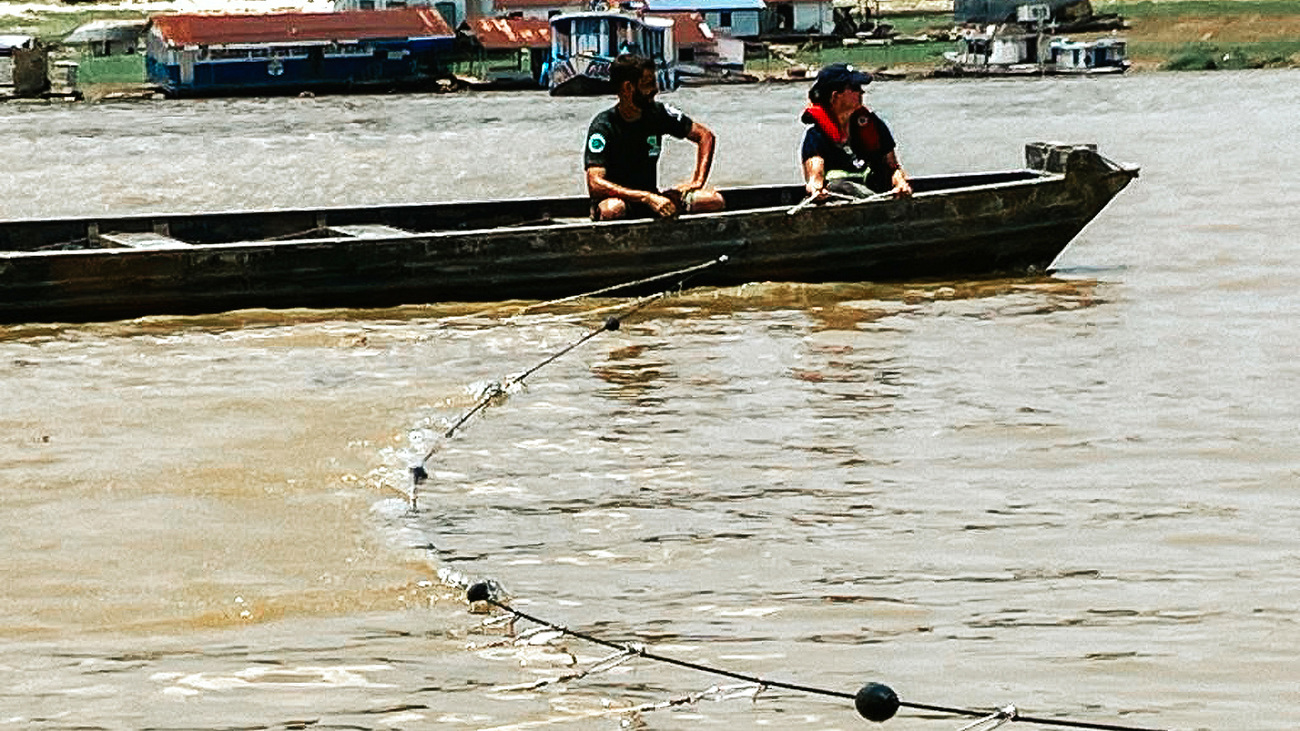 The MMRR and Mamiraua Institute teams attempt to herd river dolphins by introducing pincers and a hukilau.