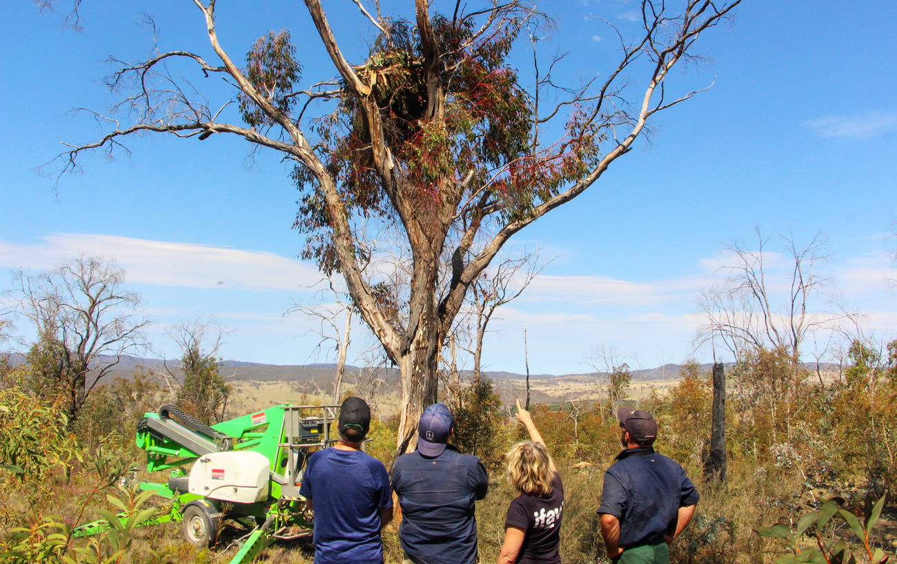 The IFAW and Habitat Innovation and Management teams with one of the raptor platforms at Two Thumbs Wildlife Trust Sanctuary.