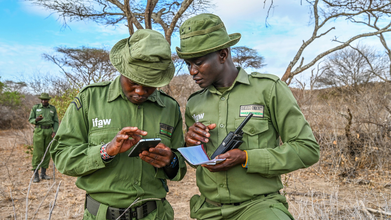 Rangers from the David Rio Community Ranger Base take notes during a routine morning patrol.