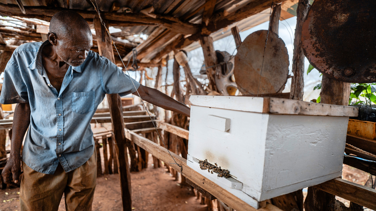 Christopher, a local farmer between Tsavo West and Tsavo East national parks who is part of the climate-smart agriculture project, with his bees.