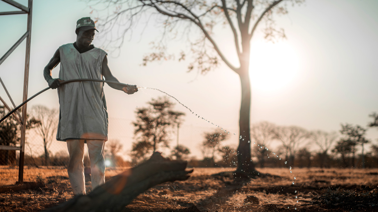 Community nutritional gardening supported by the Water is life project in Zimbabwe.