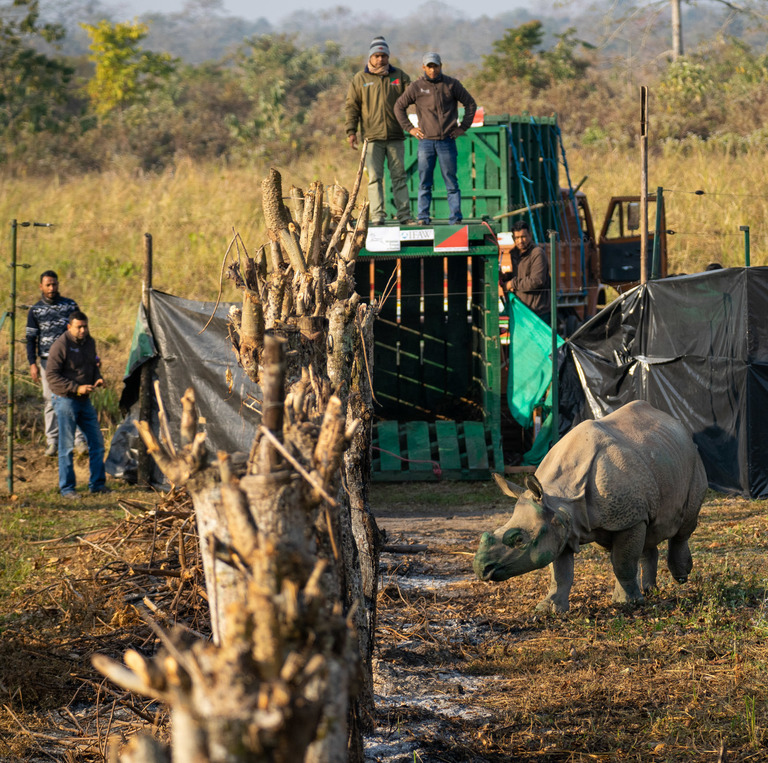 Manas National Park In Assam: How To Plan A Trip In 2023