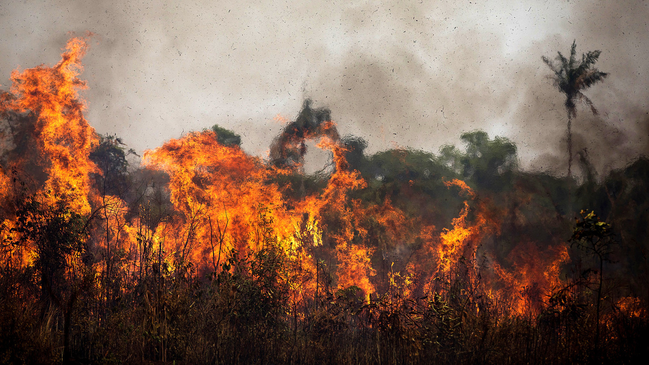 A 2020 fire in the Amazon rainforest near Porto Velho, Rondonia, Brazil.