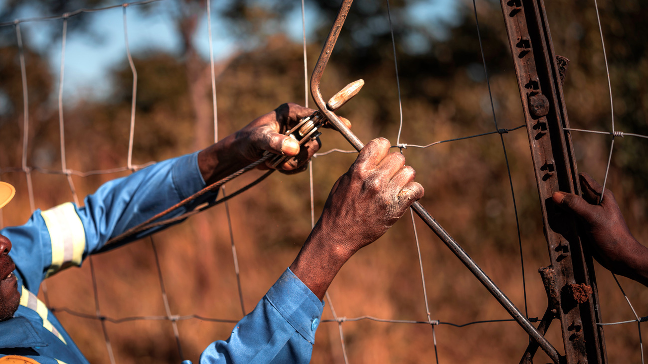 Community fence construction in Malawi.