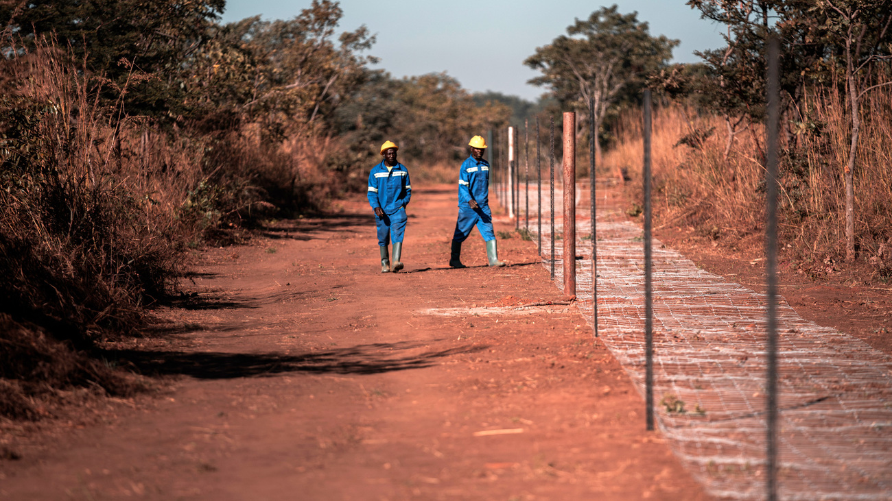 Community fence construction along the boundaries of Kasungu National Park, Malawi.